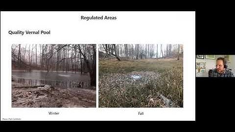 Stream Buffer Protection in Action