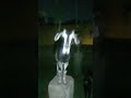 night mode 🗿💢