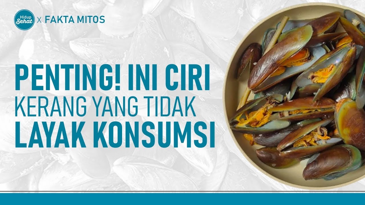 Penting! Ketahui Ciri Kerang Hijau yang Sudah Tidak Layak Konsumsi | Hidup Sehat tvOne