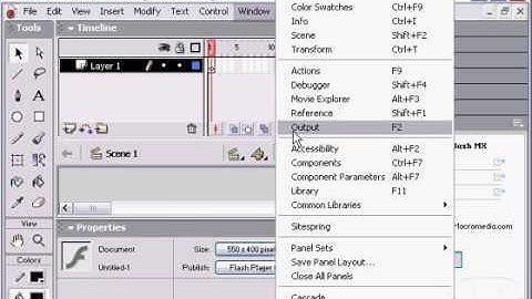 Adobe macromedia Flash Mx interface urdu / hindi  tutorial