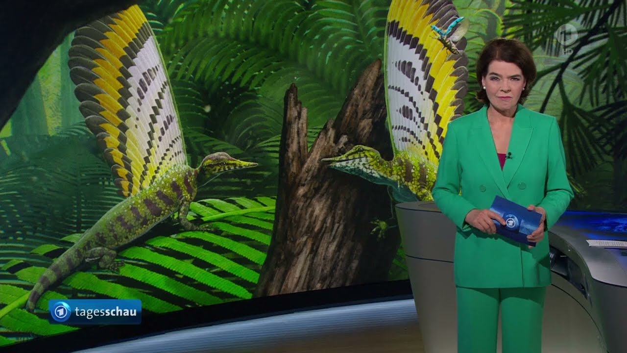 Bei Untersuchung von Fossilien "Wundersaurier" entdeckt