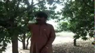 D:\khadim\New Folder (2)\New Folder (6)\HABEEB.MP4