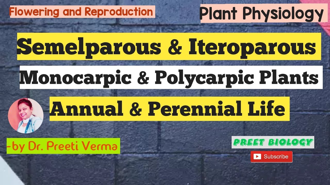 Semelparity & Iteroparity ll Monocarpic & Polycarpic ll Annual & Perennial ll Botany