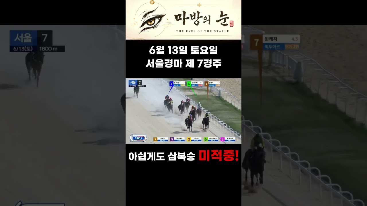 [마방의 눈] 아쉬운 승부, 뼈아픈 복기. 6월 13일 서울 제7경주