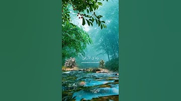 آية الكرسي _ القارئ اسلام صبحي