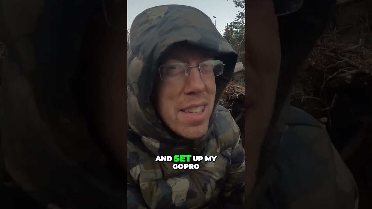 Mesmerizing Northern Lights illuminate the night sky in breathtaking display