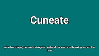 'Cuneate' Meaning and Pronunciation