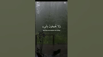 #آية_الكرسي #إسلام_صبحي #تلاوة_خاشعة #المصحف #سورة_البقرة