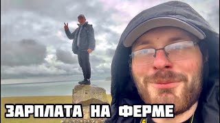 видео: Работа на ферме Англии - Сколько можно заработать на самом деле?С работы на ферме на роботу в Лондон картинка: Работа на ферме Англии - Сколько можно заработать на самом деле?С работы на ферме на роботу в Лондон