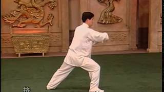 Chen Taiji Pushing Hands (陳 氏 太 極 推 手)