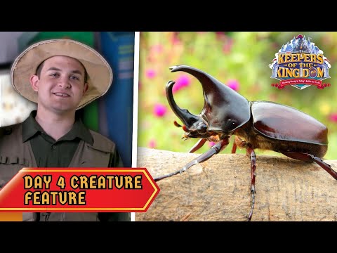 The Ironclad Beetle! | Keepers of the Kingdom VBS: Day 4 Creature Feature