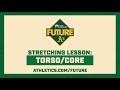 Stretching Lesson: Torso and Core Stretching