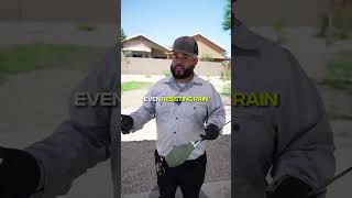 The Best Pest and Bug Spray