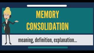 What is MEMORY CONSOLIDATION? What does MEMORY CONSOLIDATION mean?