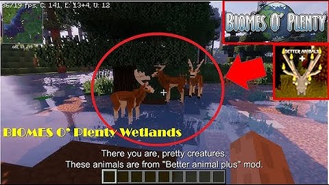 Minecraft How to: Biomes O