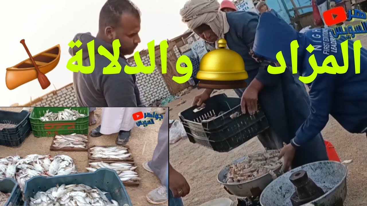 морская рыба 🐟 ловить аукционы 🛎 от порта 🛶 загрузки рыбаков