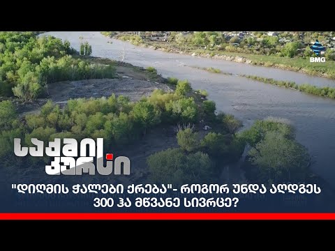 \"დიღმის ჭალები ქრება\"- როგორ უნდა აღდგეს 300 ჰა მწვანე სივრცე?