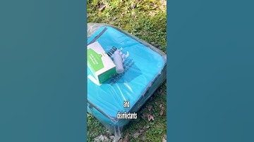 What You Get as a Wolt Delivery