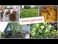 ХОНОХОИ ДУЮМИ МО😇ОШИ АЛОВИ ЗАКАСНОЙ😋😋