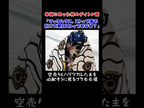 マックハウスがストップ高で引けて翌日ストップ安で寄付くなぜ？【本当にあった株のデイトレ話】#株式投資 #デイトレ #株ライブ