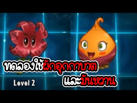 รีวิวผักอุกกาบาตและมันหวาน - Plant vs Zombies 2 #73 [ เกมมือถือ ]