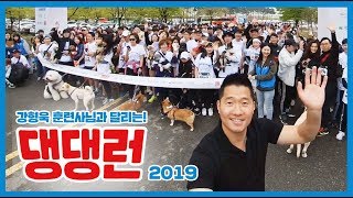 강형욱 훈련사님과 강아지가 함께 달리는 개라톤 2019 댕댕런 in 상암!