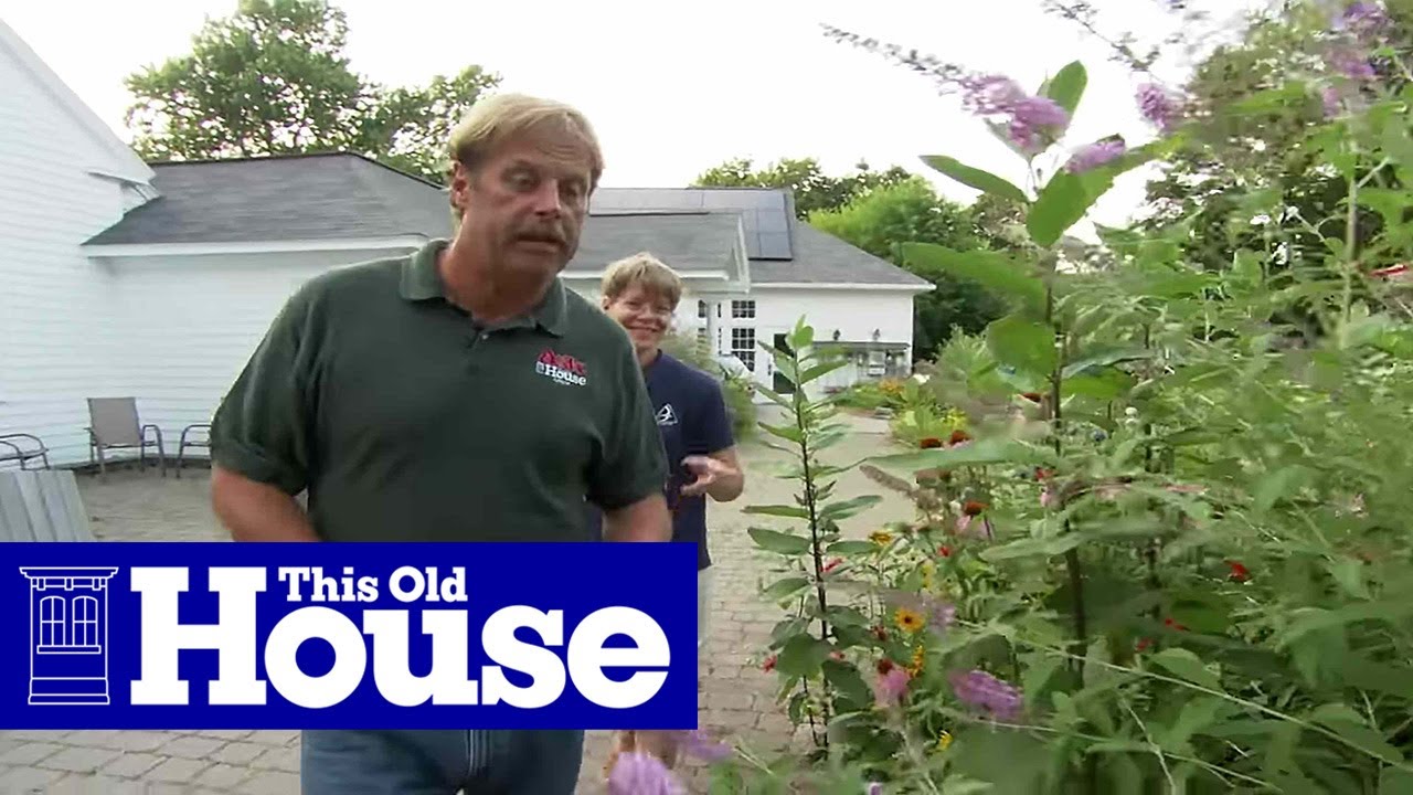 How To Plant A Butterfly Garden This Old House Youtube
