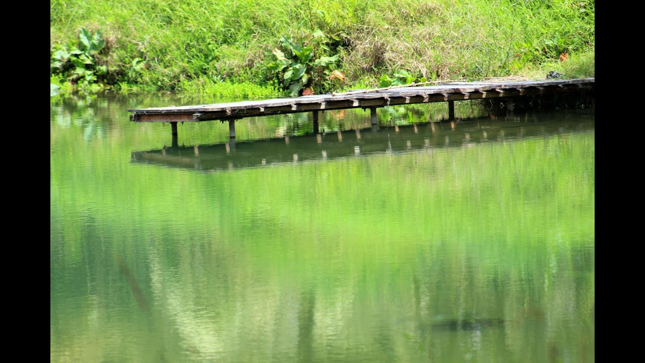 激情犯罪实录，富豪为儿子选妃式挑选儿媳