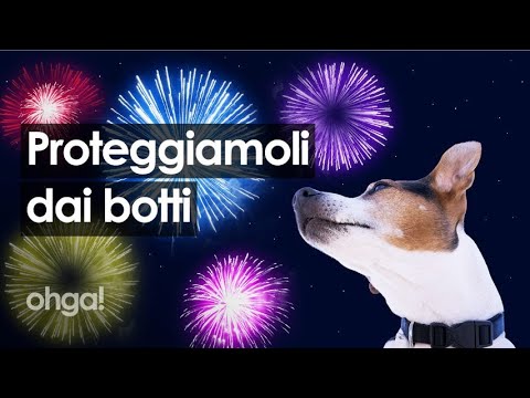 Video: Come Proteggere Il Tuo Animale Domestico Per Il Nuovo Anno