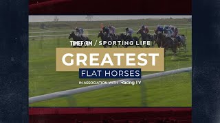 The GREATEST flat horses of the century