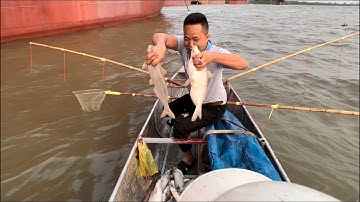 Tét thực tế kích cá thả cáp ở độ sâu 17 mét cá da trơn siêu khủng nổi như phao.0985802199