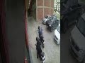 سريق في وضاح نهار في طنجة سريق في وضاح نهار في طنجة