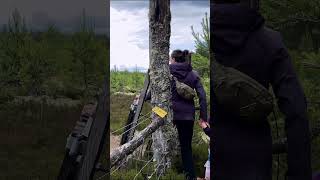 #Hiking in #swedishsummer