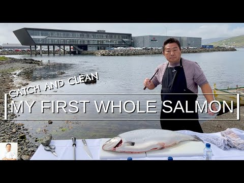 I Flew To The Faroe Islands For My Very First Catch, Clean and Sashimi With A Whole Salmon! | Hiroyuki Terada - Diaries of a Master Sushi Chef