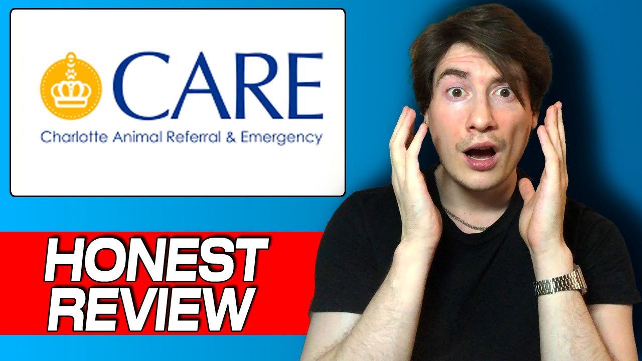 CARE Charlotte Review: Honest User Experience of This Vet Clinic