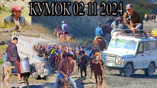 картинка: Бузкашии д Кумок 02 11 2024 ш Панчакент UMED VIDEO