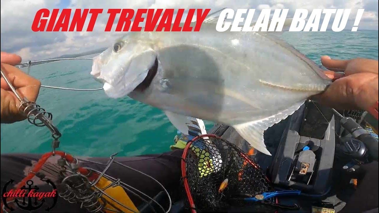 #82 GIANT TREVALLY ON KAYAK MEMANG THRILL ! - CHILLI KAYAK - KAYAK FISHING MALAYSIA