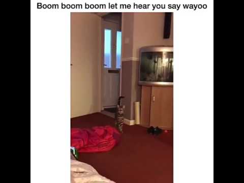 Original Boom Boom Wayo