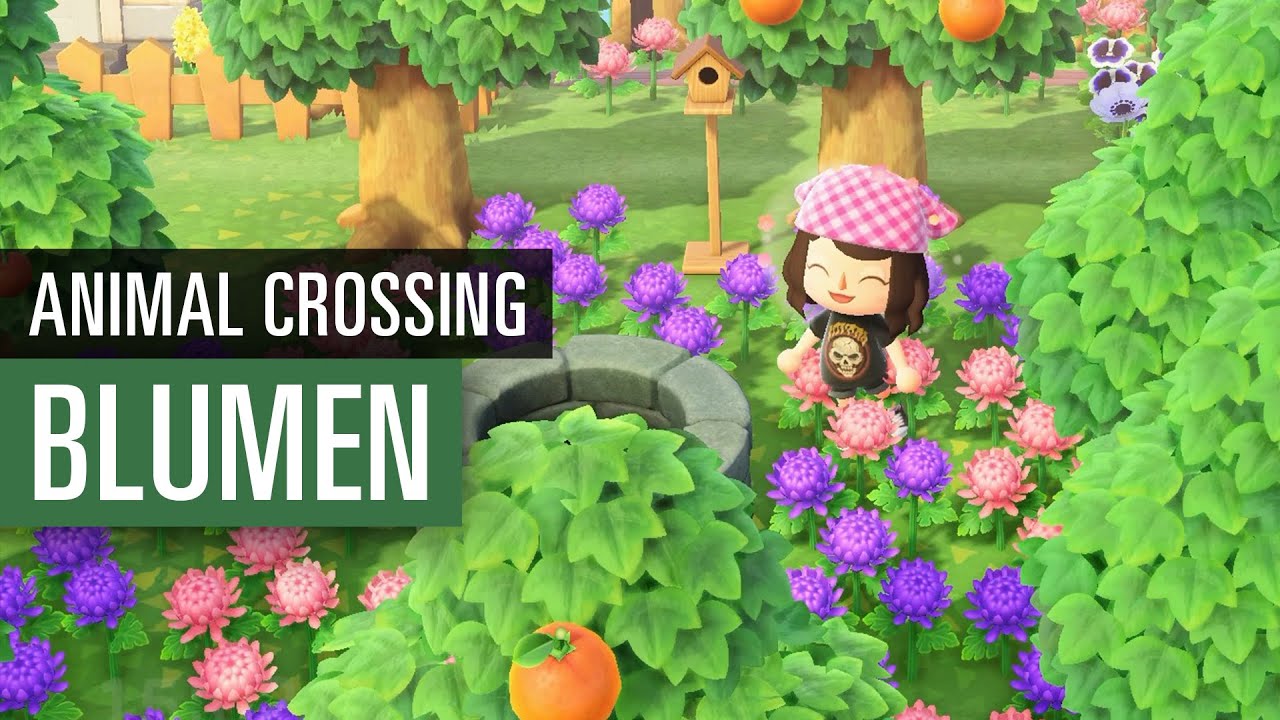 Animal Crossing New Horizons Blumen Bekommen Und Zuchten Guide