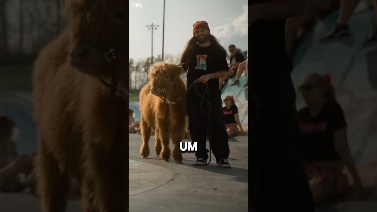 Which international band has been your fav lately?