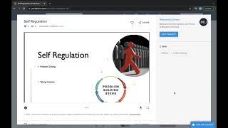 Individual Capstone Presentation