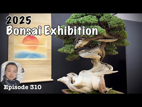 日本盆栽大観展 Japan Bonsai Taikan Exhibition 2025 [Deep Japan ] by the Last
