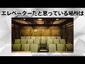 【TDS】トイマニとタワテラに関する面白い雑学や豆知識 #ディズニー