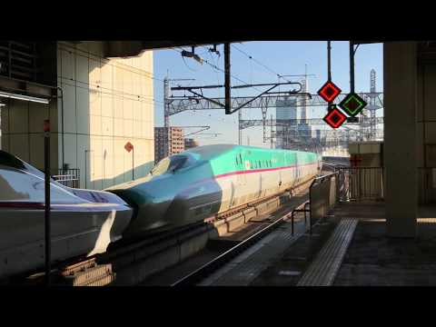 東北新幹線 大宮駅 E5系+E6系 はやぶさ+こまち 18号  東京行き