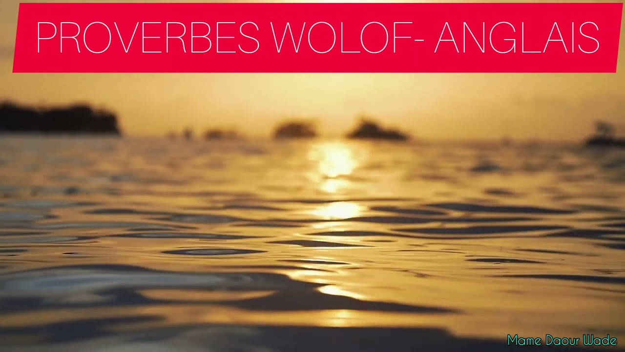 Proverbes Africains | léebuy wolof-anglais (proverbes wolof anglais)