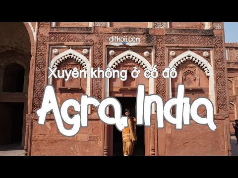 Xuyên không về Agra- tung tăng ngắm pháo đài Agra fort, khu vườn ánh trăng Mehtab Bagh cùng Dithoii