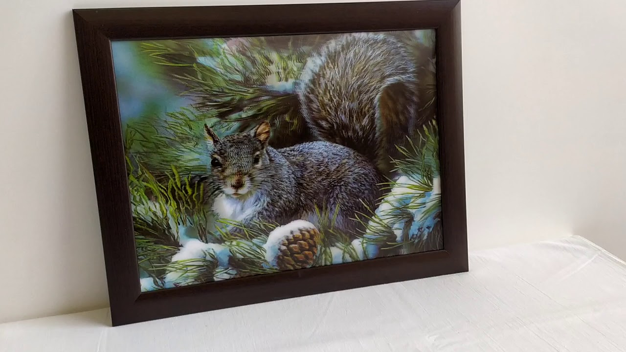 Линзовидная картина с эффектом 3d и 5d