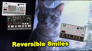 Reversible Smiles [Korg Volca Sample, Volca Bass, Volca Kick, delay pedal]