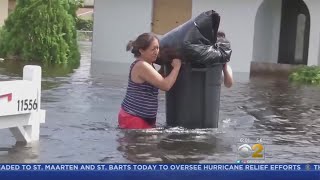 Damage Assessments Underway After Irma Leaves Florida