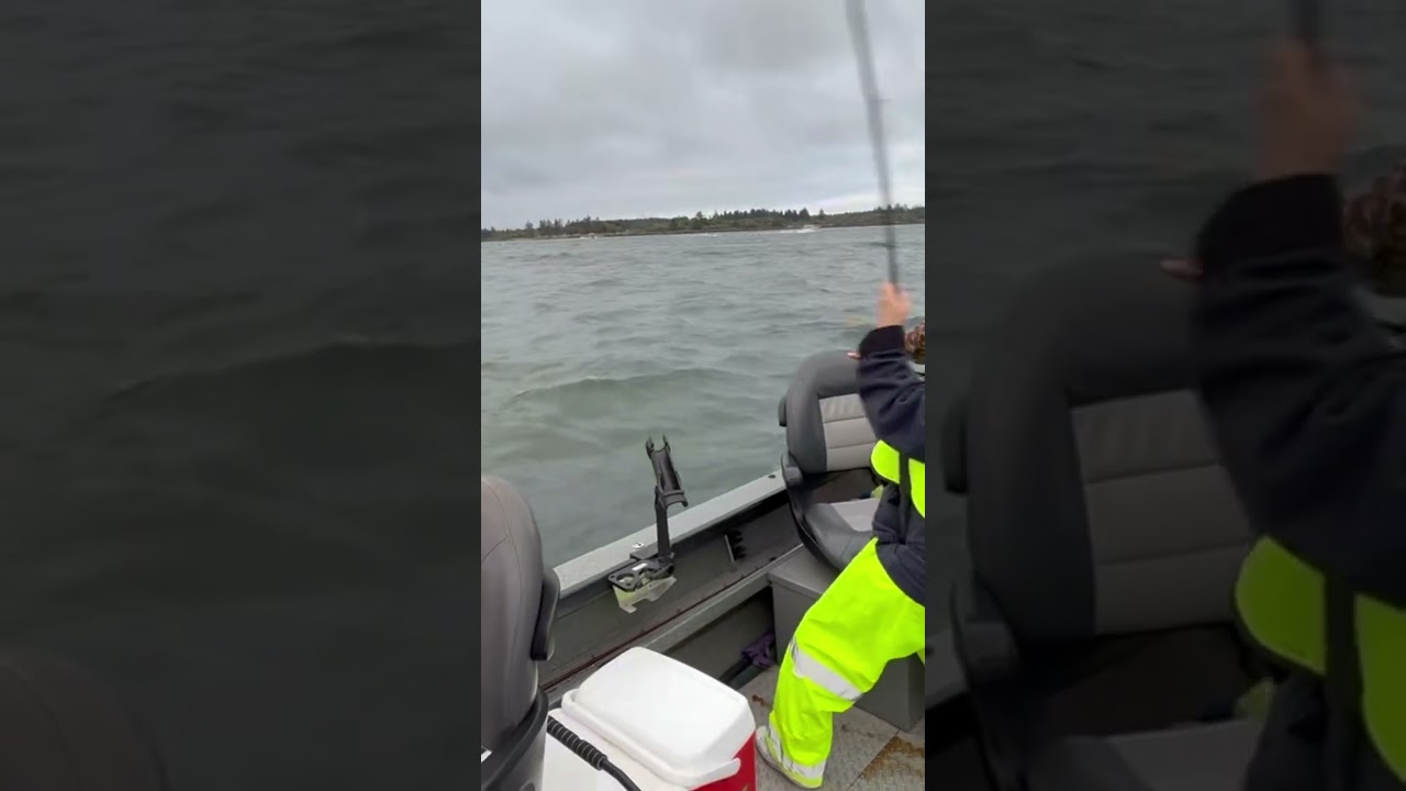 Monster Catch in 48 Seconds! 🎣 Sports Fishing Thrills